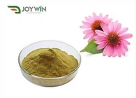 Antibiotico estratto di echinacea in polvere