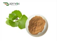 Ginkgo Biloba Estratto In polvere