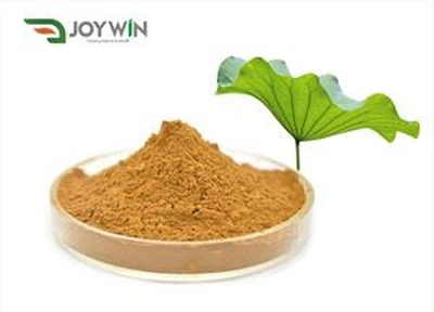 Estratto di foglie di loto in polvere nuciferina
