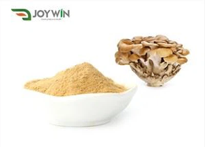 Polvere di estratto di funghi Maitake