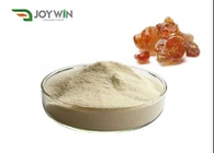 Polvere di gomma d'acacia