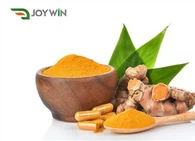 Pura polvere di curcuma